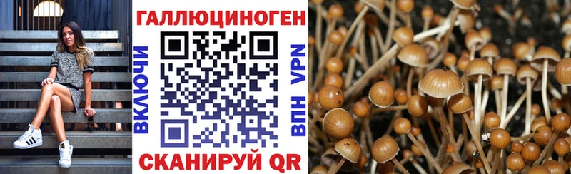 Галлюциногенные грибы мицелий  цены   Волжск 